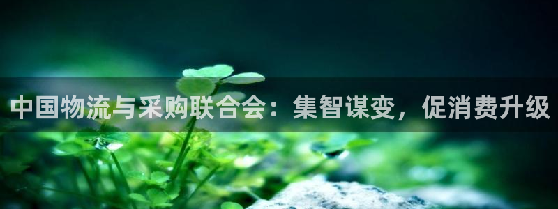 tp钱包怎么变成人民币：中国物流与采