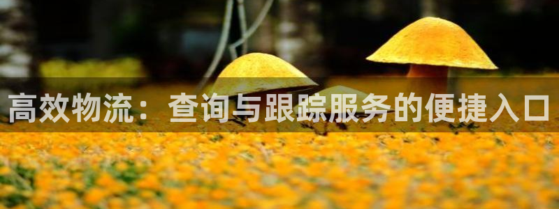tp钱包无法打开网页
