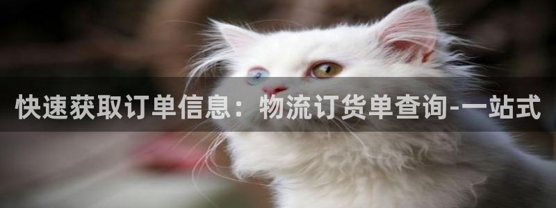 tp钱包删除授权：快速获取订单信息：