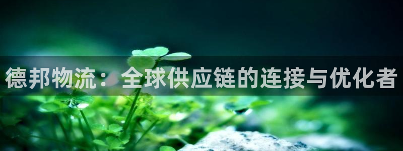 tp钱包 教程：德邦物流：全球供应链