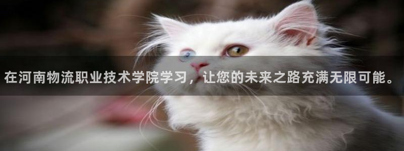tp钱包官方下载版：在河南物流职业技