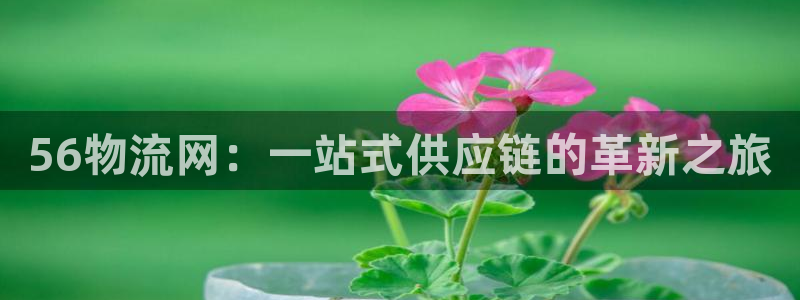 tp钱包被盗如何处理：56物流网：一