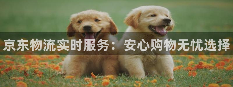 tp钱包的钱怎么提现
