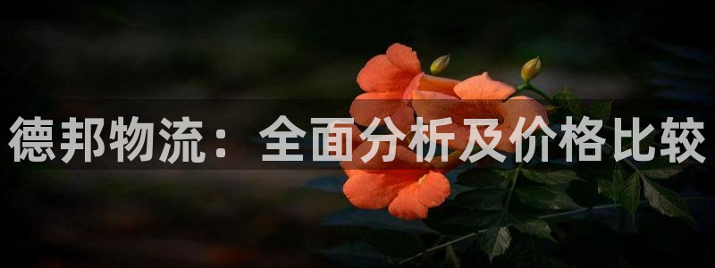 tp钱包薄饼交易所