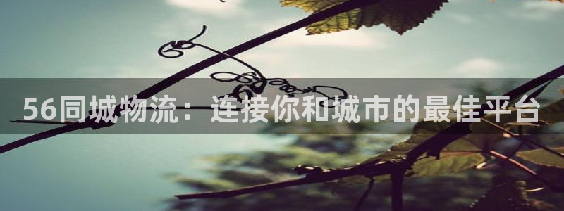 tp钱包怎样直接进入usdt交易所