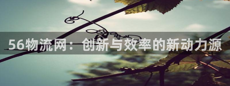 tp钱包下载链接安全吗：56物流网：