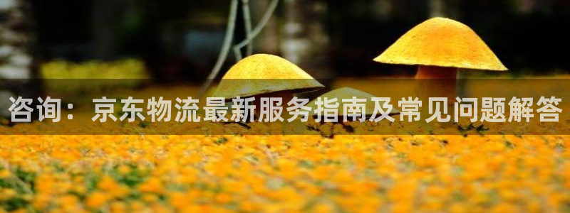 TP钱包被盗钱还在被盗的钱包里,能找