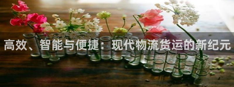 tp钱包能买pig吗