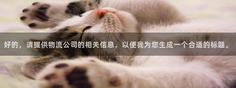 tp钱包数据不更新：好的，请提供物流