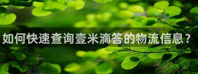 TP钱包如何用usdt闪兑TRX