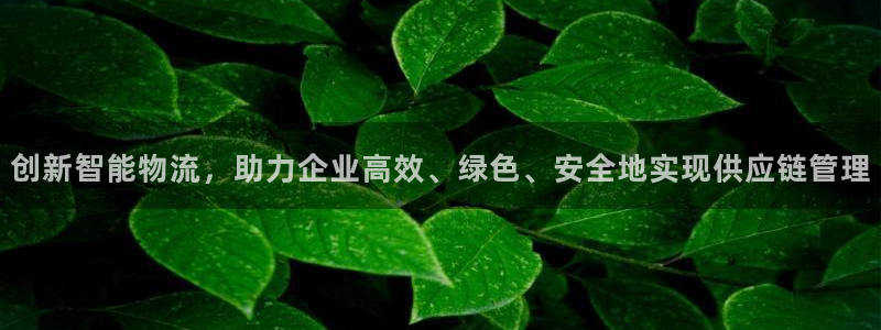 tp钱包官方最新版本下载：创新智能物