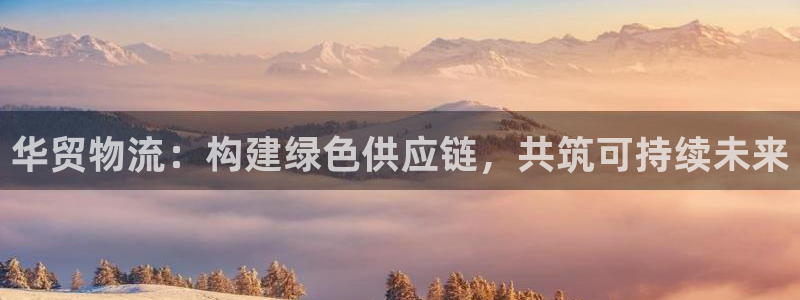 tp钱包滑点：华贸物流：构建绿色供应