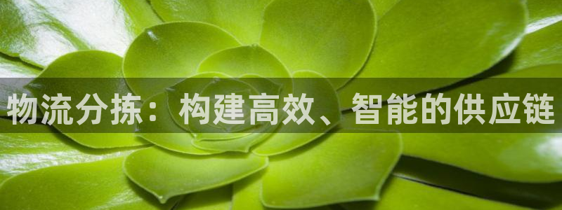 tp钱包挖矿安全吗