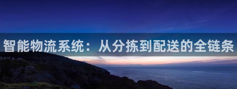 tp钱包买合约：智能物流系统：从分拣