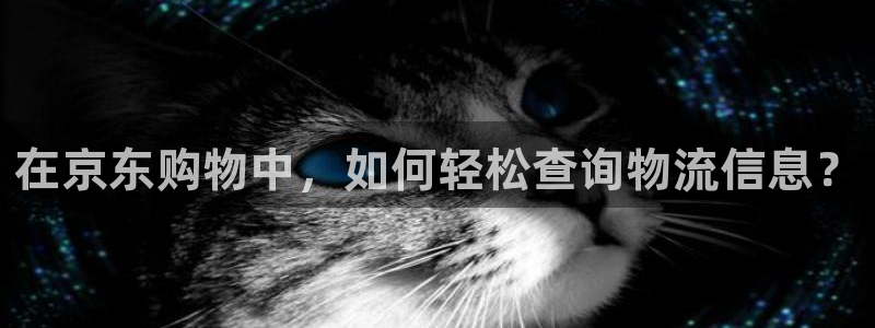 tp钱包买dog：在京东购物中，如何