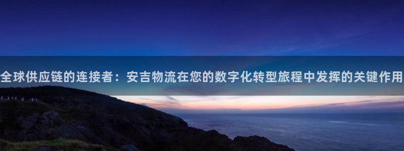 tp钱包交易记录：全球供应链的连接者