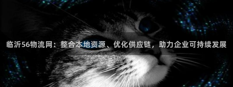 tp钱包怎么监控：临沂56物流网：整