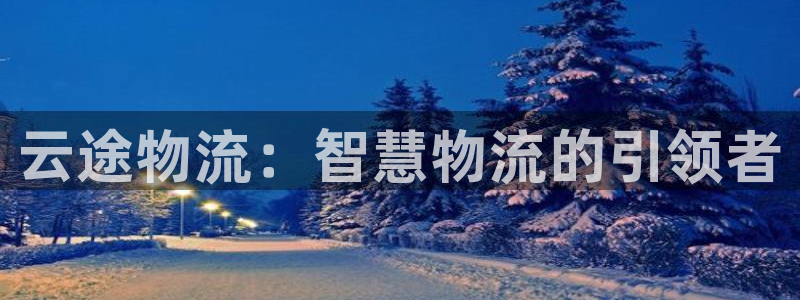 tp钱包用途：云途物流：智慧物流的引