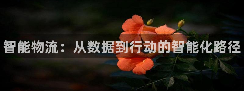 TP钱包官方网网站下载：智能物流：从