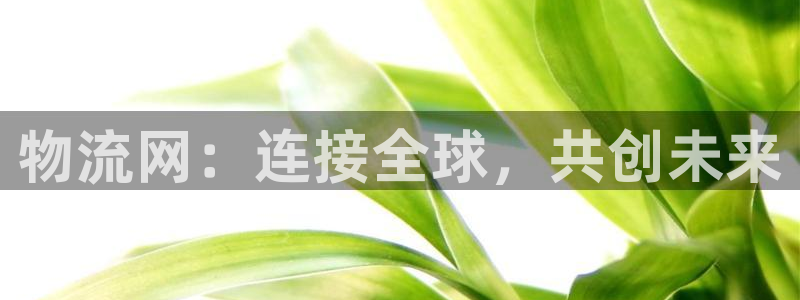 TP钱包二维码在哪里