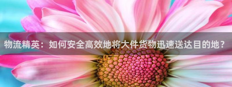 tp钱包卖币教程