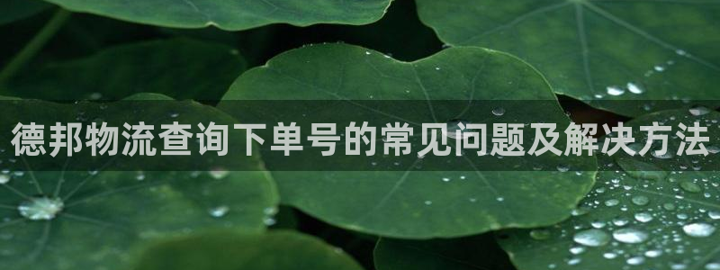 TP官方正版下载安装：德邦物流查询下