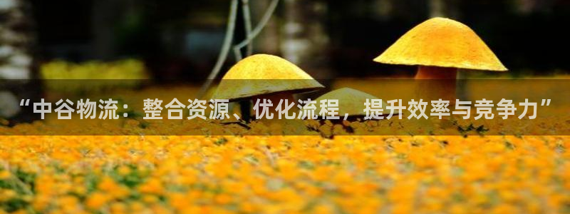 tp钱包怎么提到银行卡：“中谷物流：