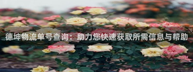 tp钱包怎么转入usdt：德坤物流单