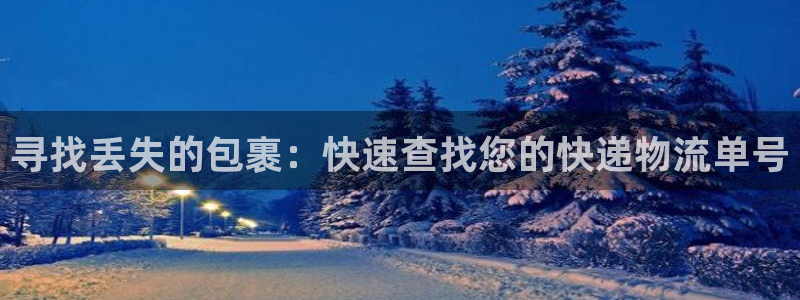 TP钱包最新版地址：寻找丢失的包裹：
