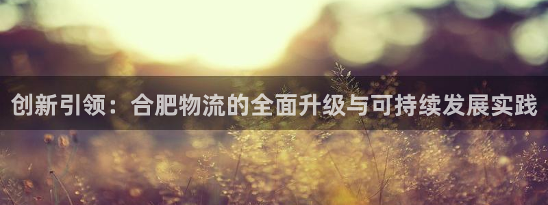 tp钱包怎么添加代币：创新引领：合肥