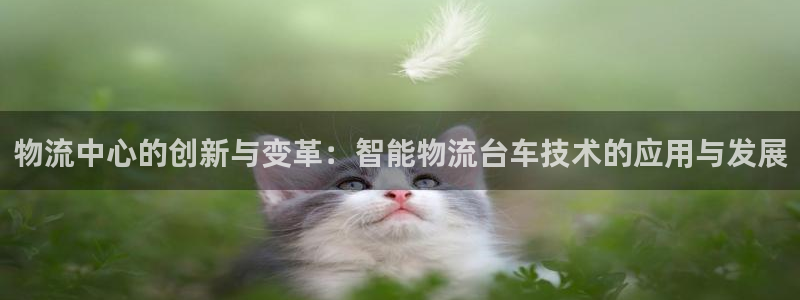 TP钱包官网下载最新版本：物流中心的