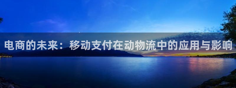 tp钱包bnb怎么买：电商的未来：移