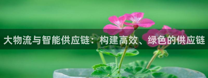 tp钱包连接钱包