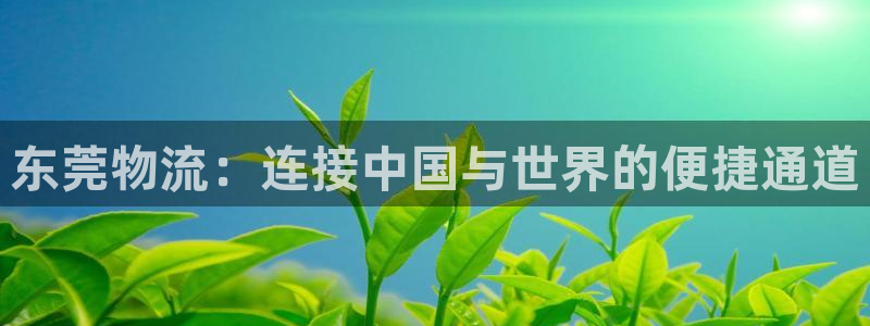 tp钱包转交易所
