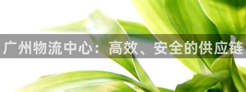 tp钱包官网下载高洁雅：广州物流中心
