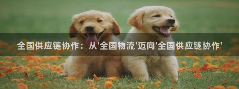 tp下载钱包：全国供应链协作：从\'