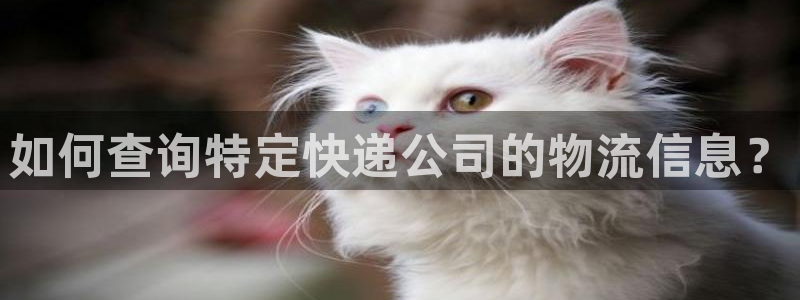 TP钱包安全吗钱包安全吗：如何查询特