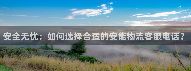 TP钱包下载后无法打开