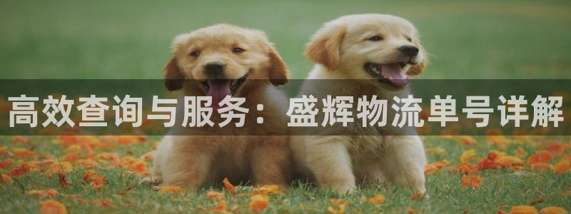 tp钱包bsc教程：高效查询与服务：