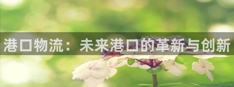 tp钱包下载