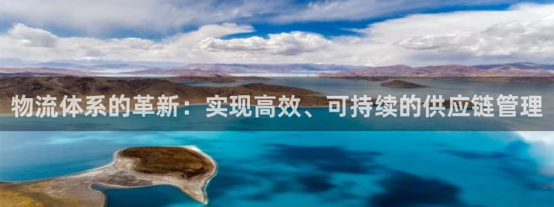 tp钱包教程：物流体系的革新：实现高