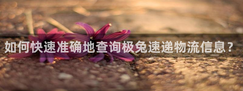 如何在tp钱包找到客服：如何快速准确