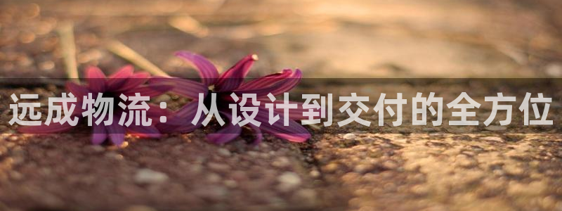 官方下载tp钱包软件：远成物流：从设