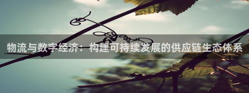 怎么玩转tp钱包
