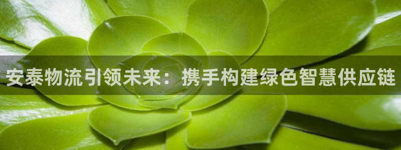 tp钱包下载不了最新版本