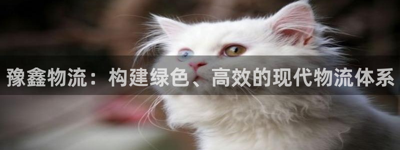 TP钱包官方和假的区别：豫鑫物流：构