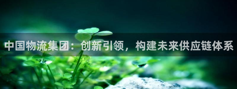 tp钱包怎么查持币地址：中国物流集团