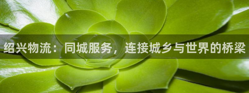 tp钱包如何提币：绍兴物流：同城服务