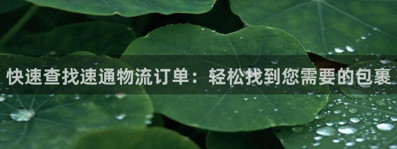 tp钱包官网app：快速查找速通物流