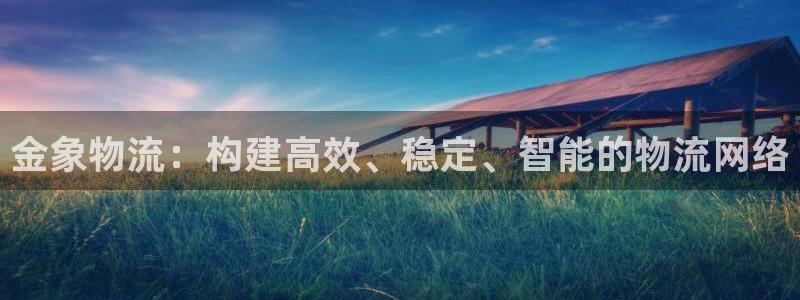 tp钱包登录其它手机资产不见了：金象